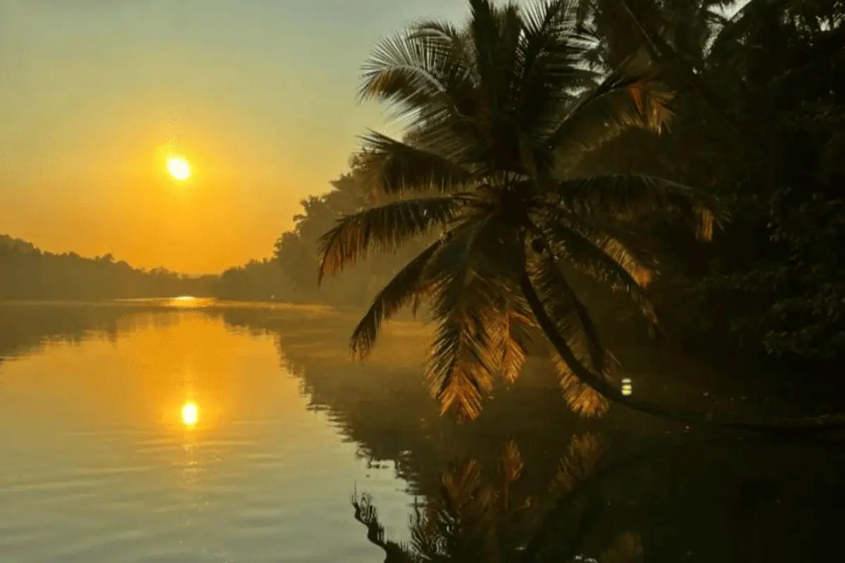 Sunset in Honnavar backwater boating