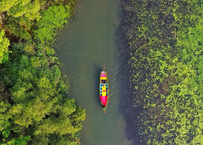 Sharavati Backwaters