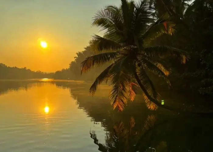 Quick Honnavar Backwater Ride