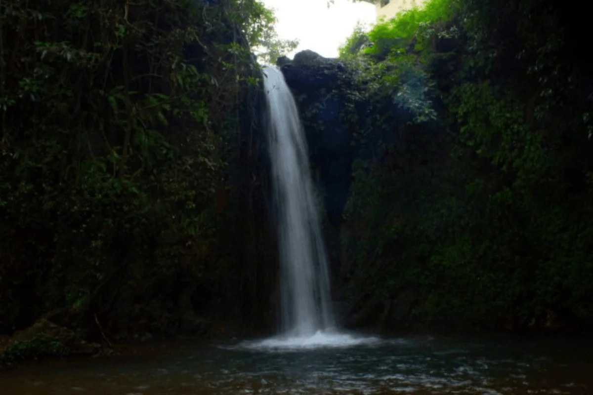 Apsarakonda Falls