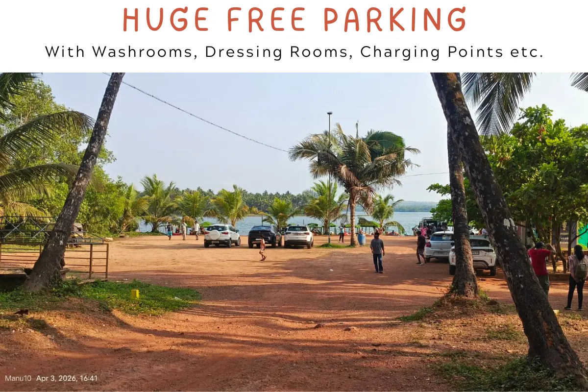 Mangrove forest along Honnavar backwaters